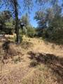 6185 Soda Bay - Photo 11