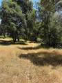 6185 Soda Bay - Photo 13