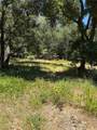 6185 Soda Bay - Photo 14