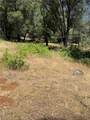 6185 Soda Bay - Photo 15