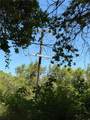 6185 Soda Bay - Photo 4