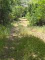 6185 Soda Bay - Photo 9