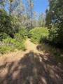 6185 Soda Bay - Photo 10