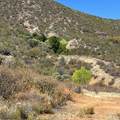 0 High Point - Photo 5