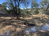 19932 Freshwater - Photo 1
