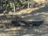 19932 Freshwater - Photo 4