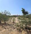 6350 Mojave - Photo 3