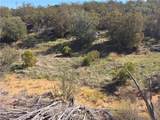 0 Taron Trail - Photo 12