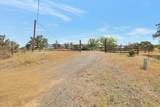 311 Colusi Lane - Photo 41