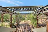 311 Colusi Lane - Photo 43