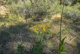1 Duzel Creek Road - Photo 12