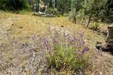 1 Duzel Creek Road - Photo 15