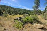 1 Duzel Creek Road - Photo 16