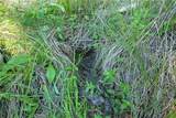 1 Duzel Creek Road - Photo 3