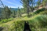 1 Duzel Creek Road - Photo 6