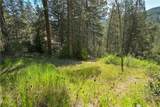 1 Duzel Creek Road - Photo 9
