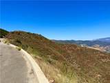 0 Ridge Route Road - Photo 24