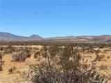 1 Del Oro - Photo 1