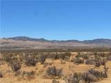 1 Del Oro - Photo 2