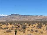 1 Del Oro - Photo 3