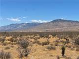 1 Del Oro - Photo 4