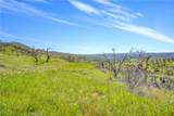 9250 Sky High Ridge - Photo 13