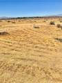 0 Nanticoke - Photo 2