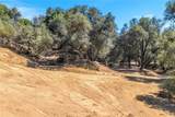 13582 Oak Mountain - Photo 8
