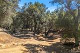 13582 Oak Mountain - Photo 9