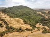 9500 Santa Rosa Creek - Photo 34