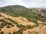9500 Santa Rosa Creek - Photo 41