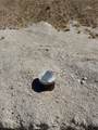 30455 Holmes Rd - Photo 10