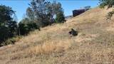 0 Foothill - Photo 35