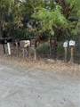 0 Minto - Photo 5