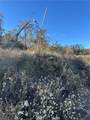 0 Minto - Photo 7