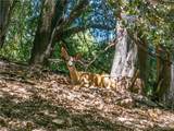 2727 Delle - Photo 3