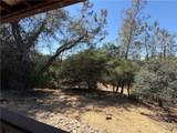 520 Black Bart - Photo 15