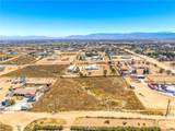 6589 Fremontia - Photo 9