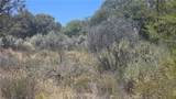 38375 Indian - Photo 3