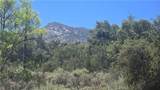38375 Indian - Photo 5