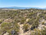 1063 Wildhorse - Photo 7