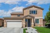 29271 Date Palm - Photo 2