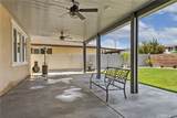 29271 Date Palm - Photo 28