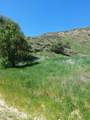 0 Loma Verde Mountainway - Photo 5