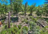 12548 Observation - Photo 1