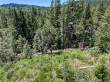 12548 Observation - Photo 2