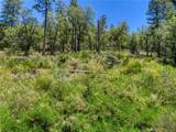12548 Observation - Photo 11