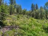 12548 Observation - Photo 12