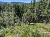 12548 Observation - Photo 7