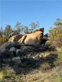 27232 Chihuahua Valley - Photo 29